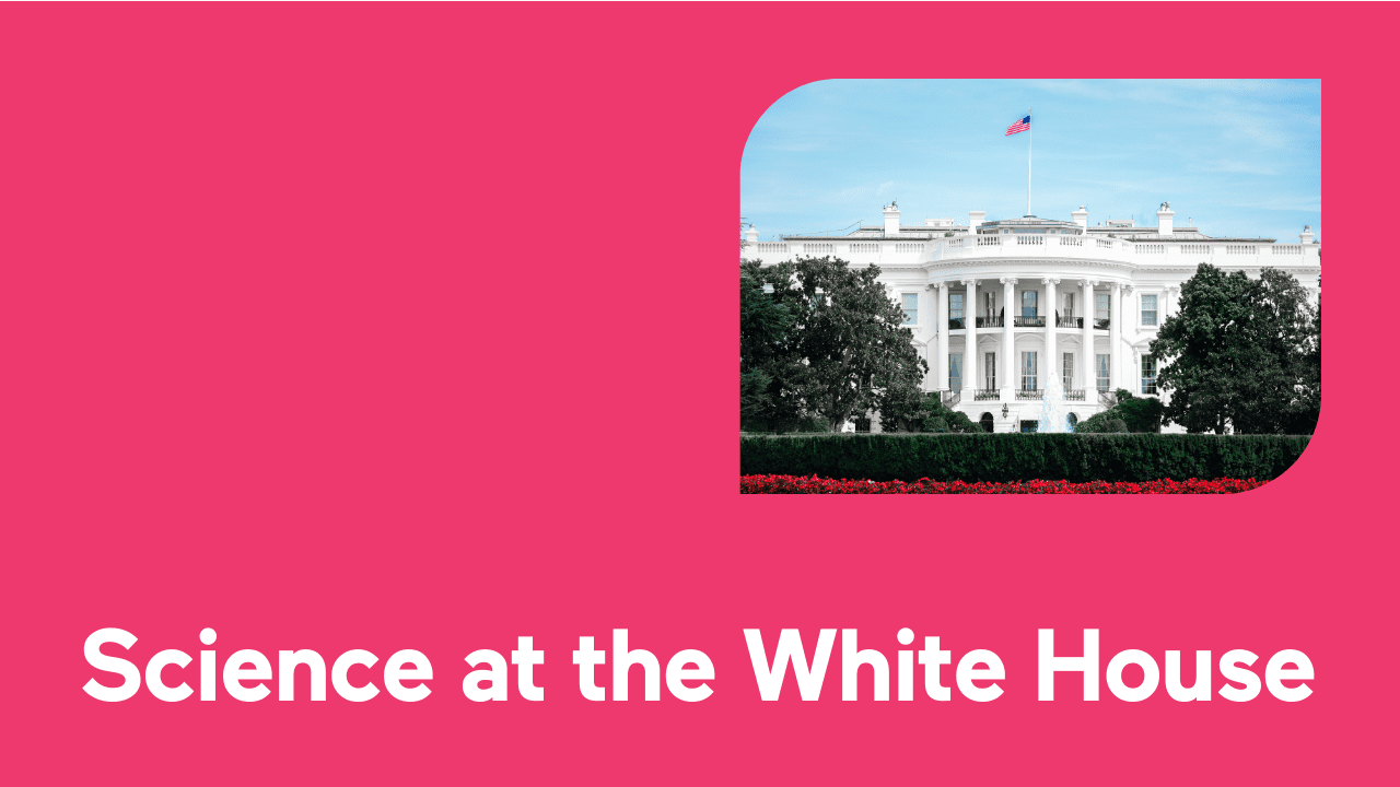 The White House surrounded by trees under a blue sky.