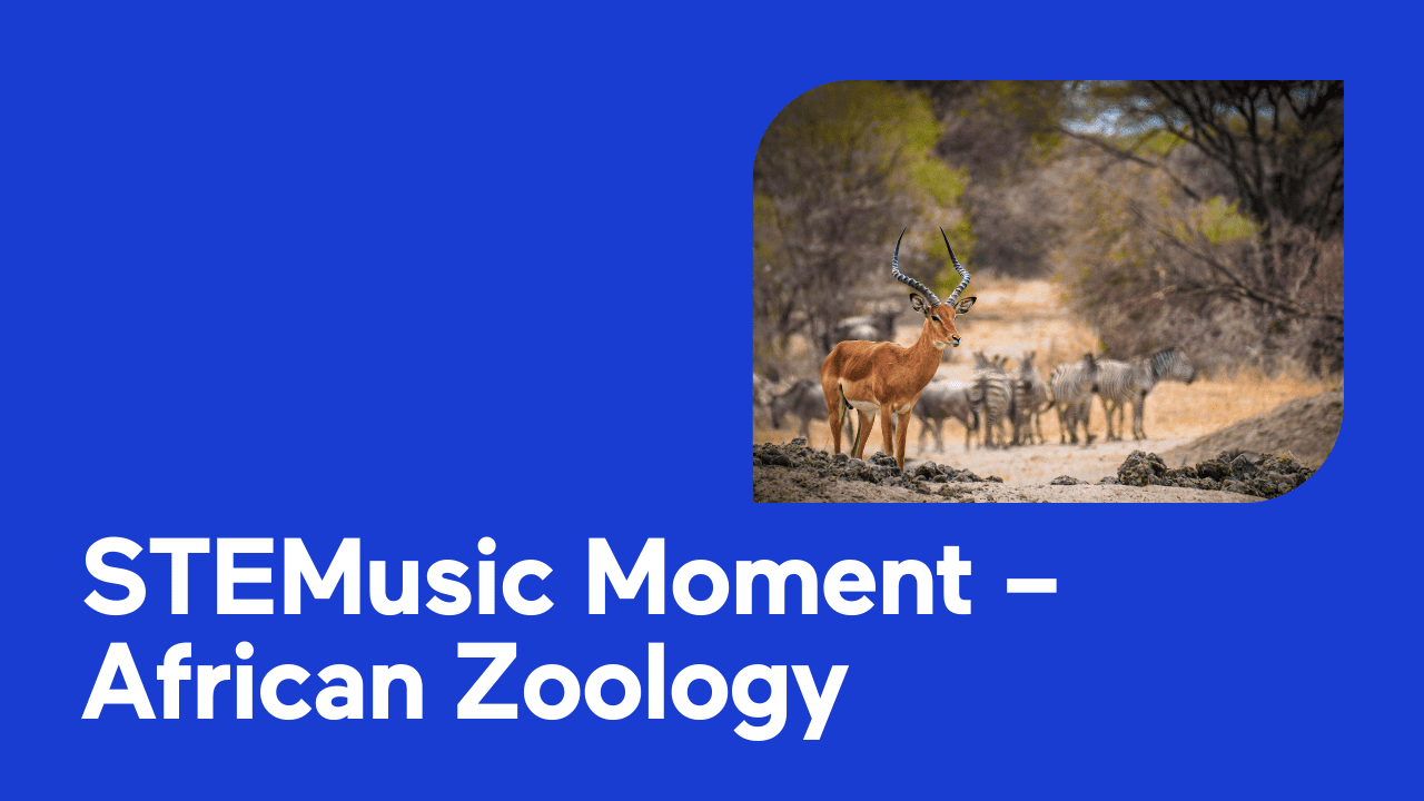 An antelope and zebras in a safari setting with STEMusic Moment text.