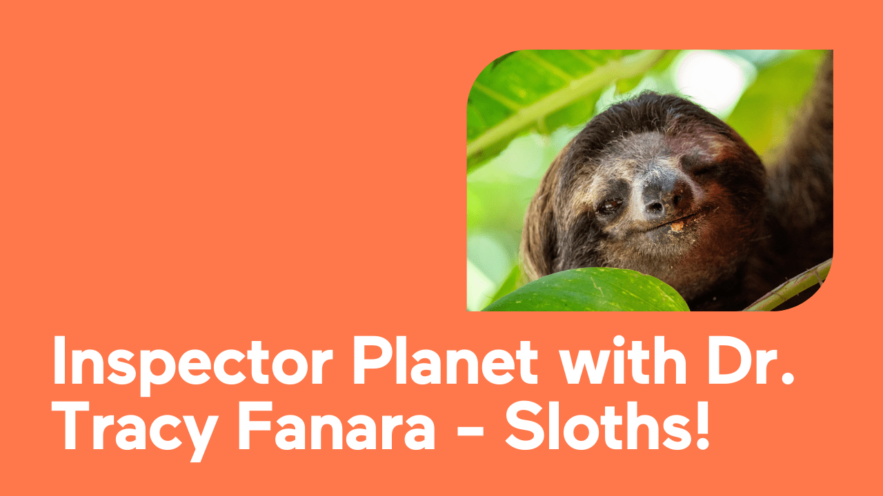 Dr. Tracy Fanara with a smiling sloth in lush greenery.