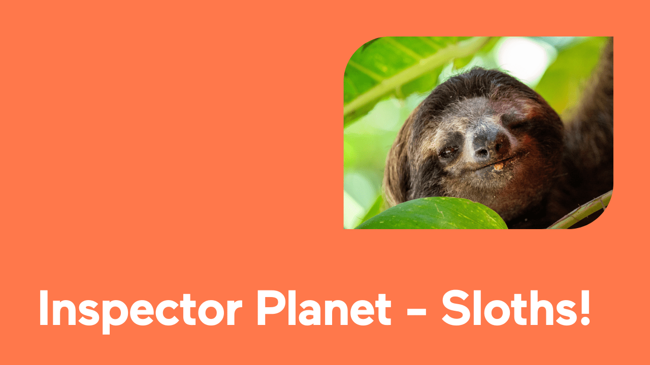 Happy sloth among leaves with title 'Inspector Planet - Sloths!' on orange background.