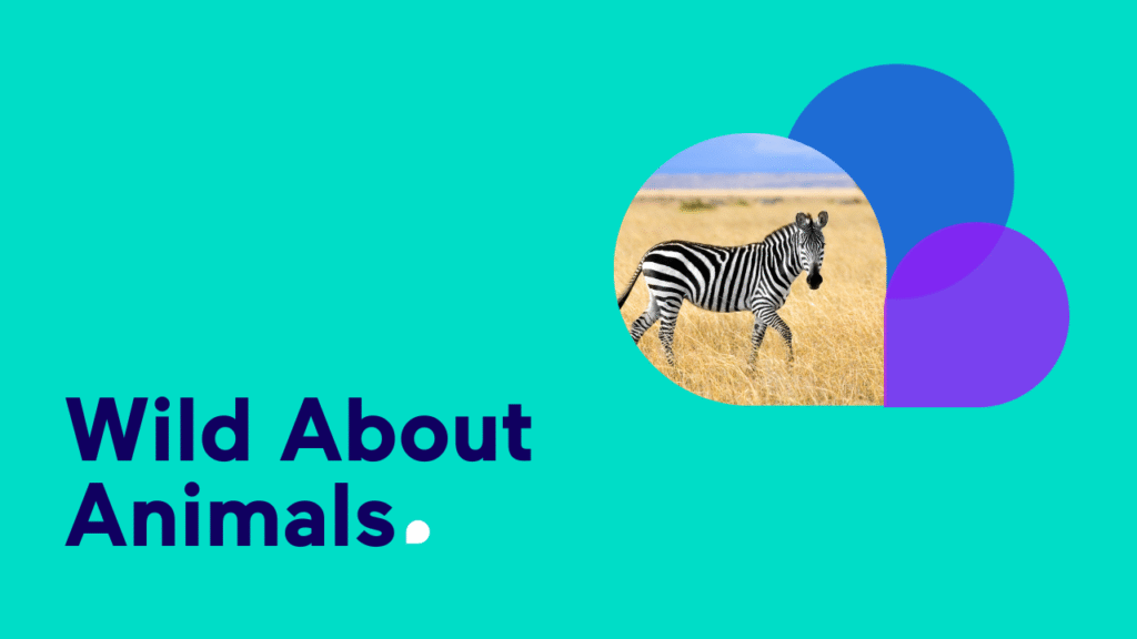 Speaker Video Thumbnail