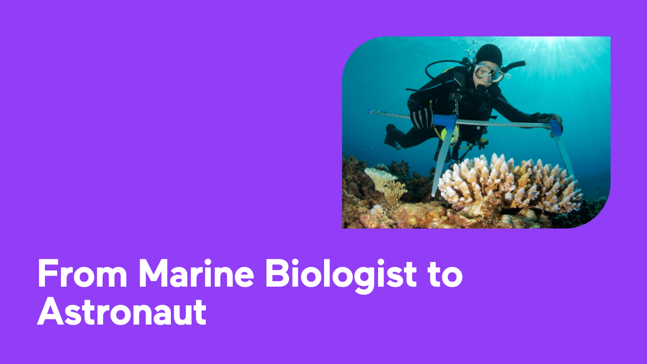 A scuba diver studying coral in the ocean, with purple background.