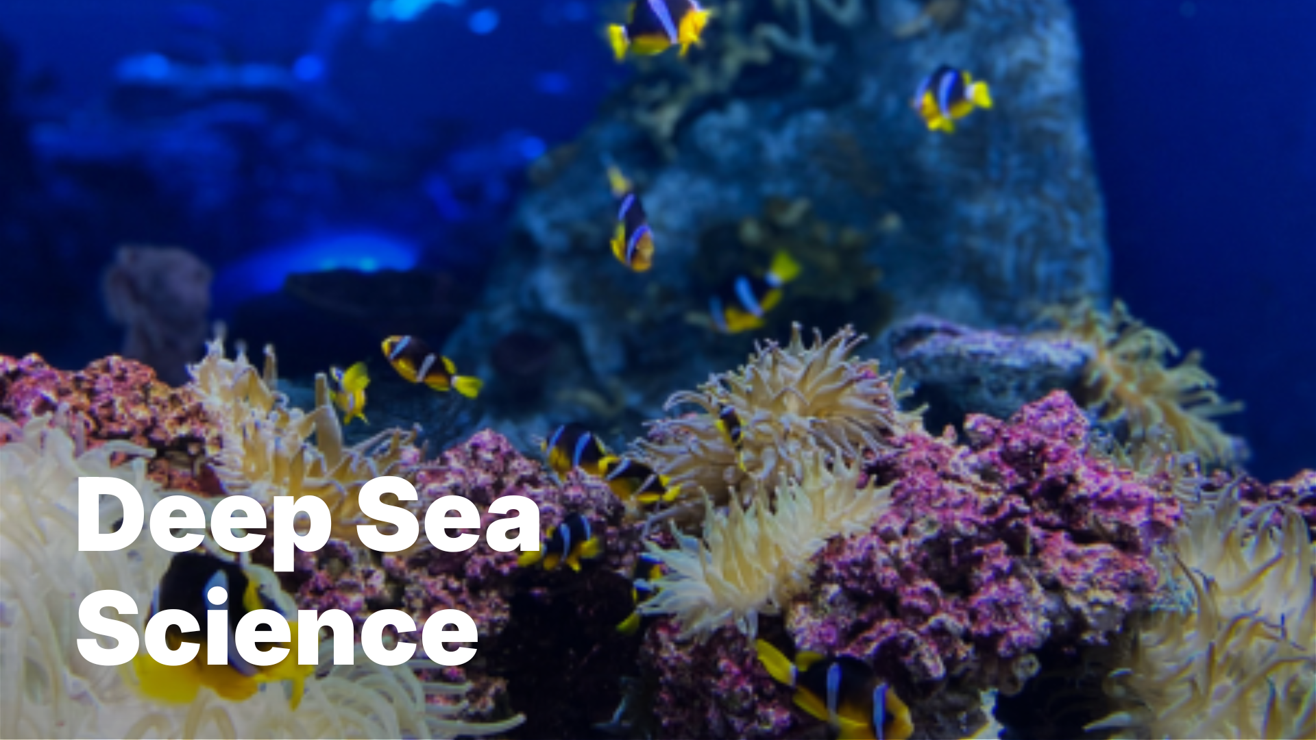Colorful coral reef scene with clownfish in blue ocean.