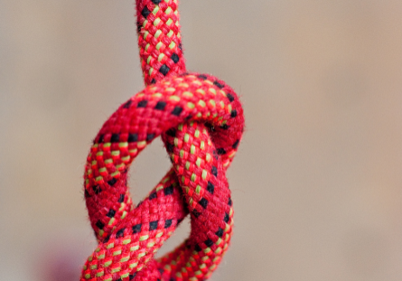 Engineering Stronger, Smarter Materials