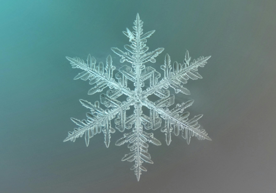 Holiday Themed Activities