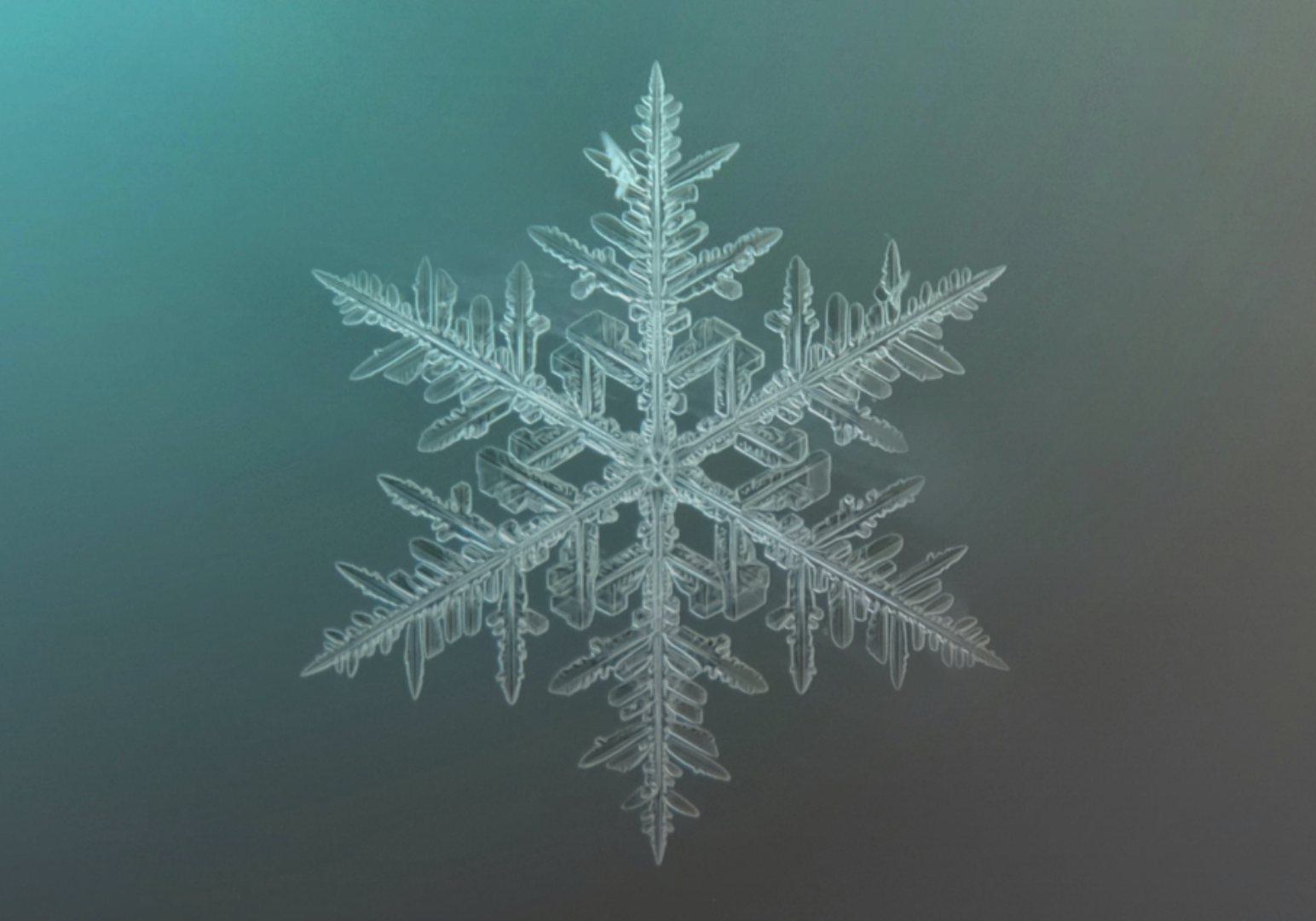 Close-up of a detailed snowflake on a gradient background.