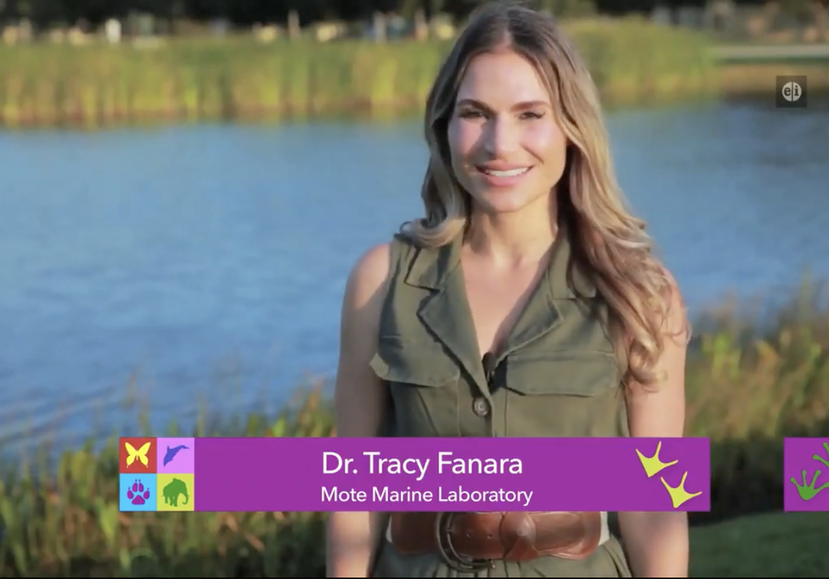 Dr. Tracy Fanara