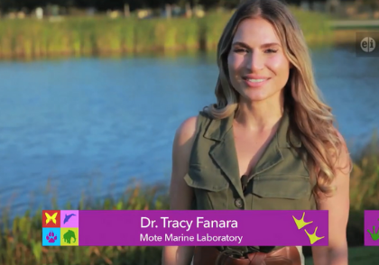 Dr. Tracy Fanara Video Thumbnail