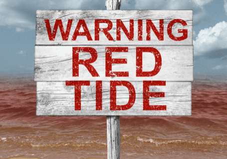 Red Tide Effects on Marine Populations