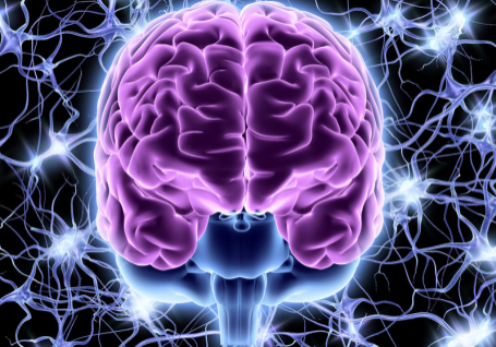 The Nervous System and Mindfulness