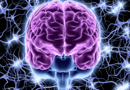 The Nervous System and Mindfulness